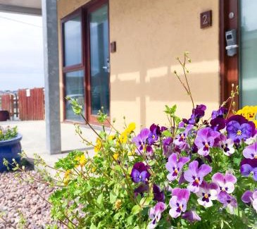 Trearddur Bay Hotel | The Beach Motel
