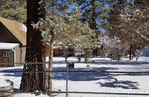 Sugarloaf Cabin | The Bear Escape - Private Cabin among Tall Trees
