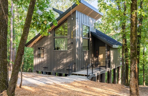 Hot Springs Cabin | The Beaver Cabin- In the Trees Resort