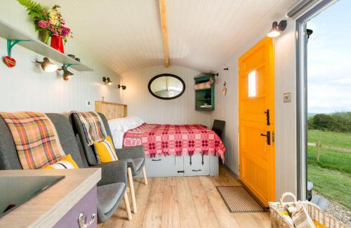 Kidwelly Other | The Big Cwtch Shepherd's Hut