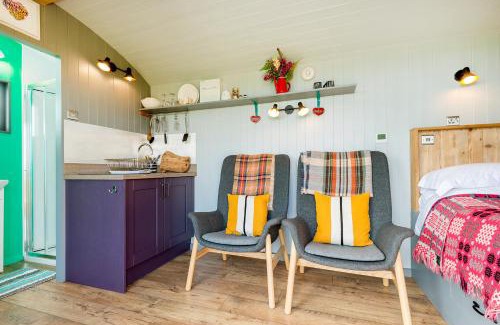 Kidwelly Other | The Big Cwtch Shepherd's Hut