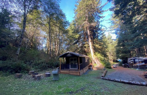 Klamath Cabin | The Black Bear Cabin - 2 bedrooms in the redwoods