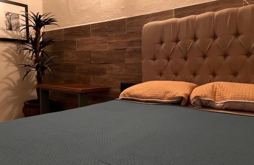 Centro Historico Hotel | The Black Tree Hotel Colonial
