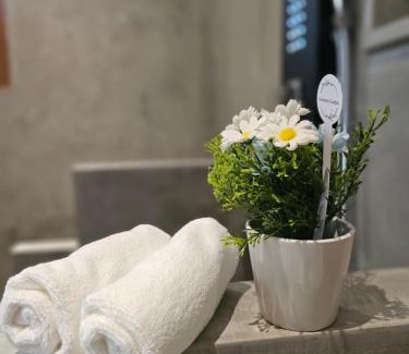 Habaraduwa House | The Blacksmith Villa