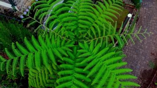 Haputale Hotel | The Bloomsdale Country House