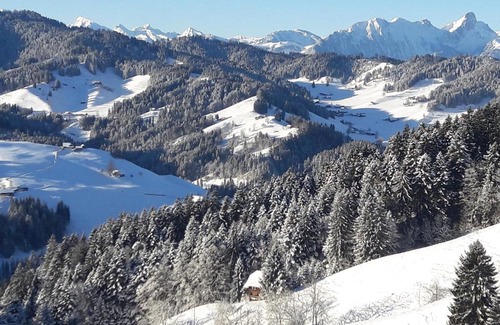 Eriz House | The Blossom House