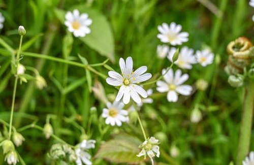 Hele House | The Bothy - Heale Farm
