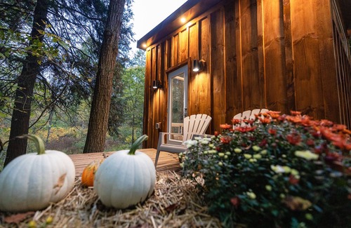 Middlesex Centre Cabin | The Bracken Cabin at Fernwood Hills