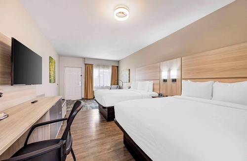 Springfield Hotel | The Bradford Hotel, an Ascend Collection Hotel