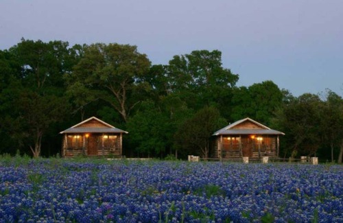 Georgetown Cabin | The Cabins at Angel Springs - Butterfly