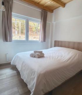 Nestos Ski Chalet | The cabins Project Σπίτια στο δάσος