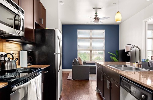 Downtown San Antonio Apartment | The Camellia