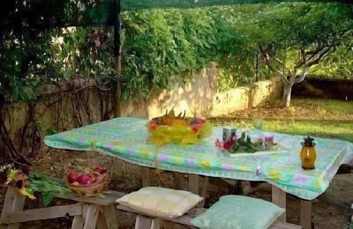 Montorsaio House | The 'Casina del Nespolo' estate