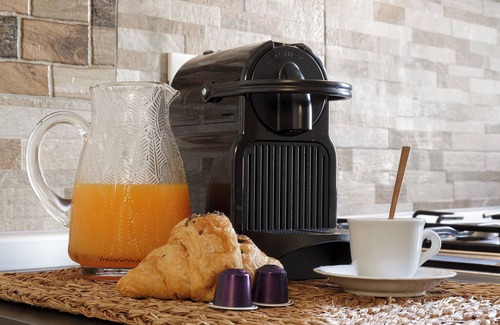 Vigevano House | The Castle of the Ladies - The Painter