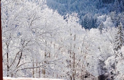 Abondance Ski Chalet | The Chalet, Spacious 12 person chalet, Portes du Soleil, 5 minutes from the ski slopes, 15 minutes