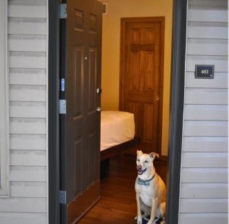 Avon Hotel | The Christie Lodge – All Suite Property Vail Valley/Beaver Creek