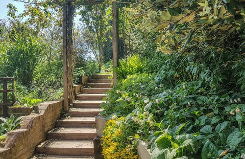 Newport Cottage | The Coach House