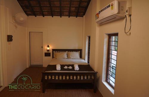 Revadanda Hotel | The Cocario