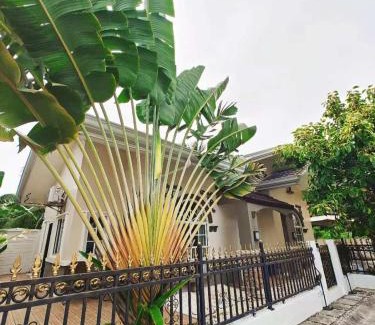 Dauis Villa | The Cocoon House