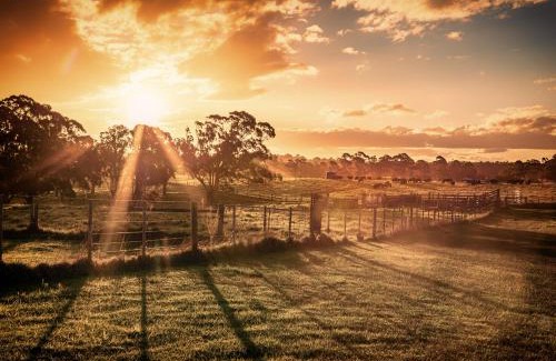 Coleraine Hotel | The Coleraine Hotel