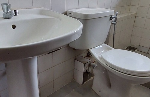 Primrose House | The Comfort