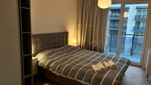 Cluj-Napoca Apartment | The Comfy Nest - Parking, King Size Bed, Smart Tv