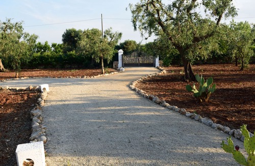San Vito dei Normanni Villa | - THE COURT OF TRULLI - "VILLA ALLORO"
