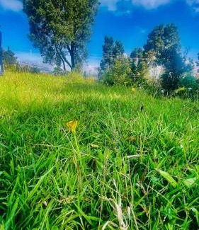 Nuwara Eliya Apartment | THE - CR7 - Manchester Grand apartment