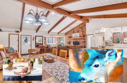 Julian House | "The Deer Bungalow" Pine Hills Large Custom Home in Julian that is Pet Friendly