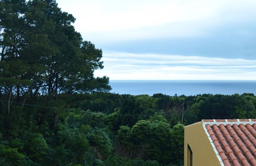 Biscoitos Apartment | The Emigrant House - Double Room