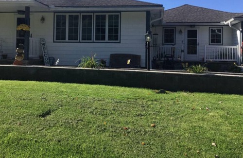 Norwich Bed & Breakfast | The Enchanted Suite in finished basement