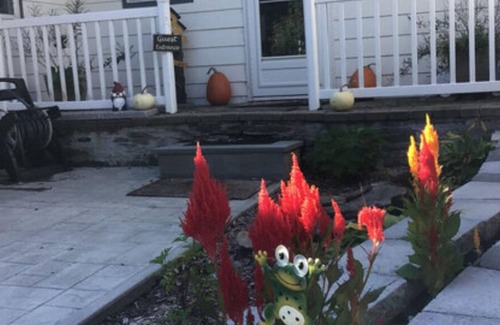 Norwich Bed & Breakfast | The Enchanted Suite in finished basement