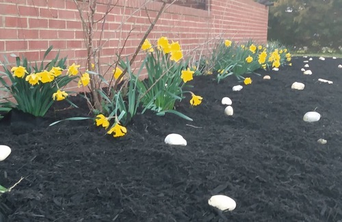 Dewitt House | The Farmhouse