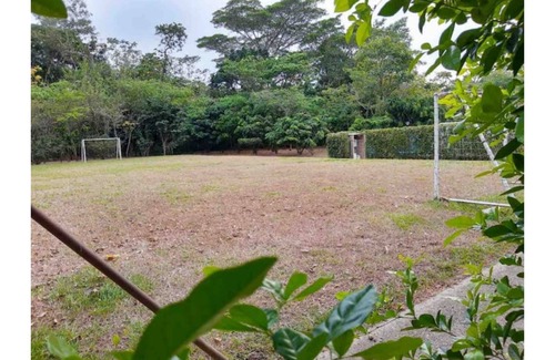 Villavicencio House | The foal