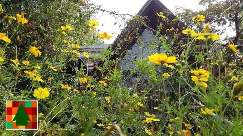 Galle Villa | The Forest's Last Stand - Galle