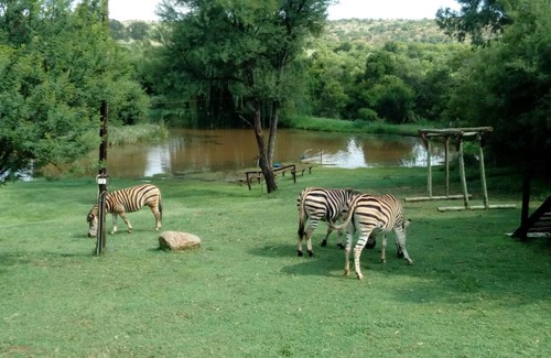 Potchefstroom Bed & Breakfast | The Gecko Inn