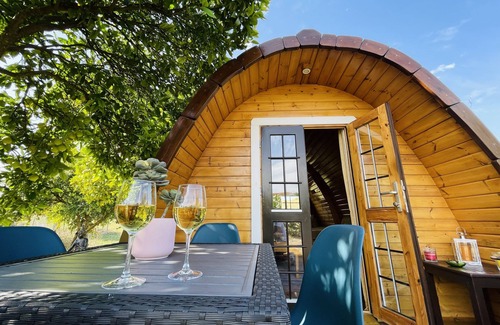 Pedrogao Cabin | The Gold Pod, Relax and Enjoy on a Glamping House