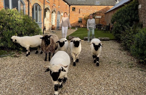 New Forest District Apartment | The Grain loft at Warborne Farm