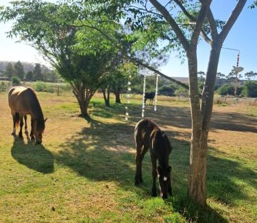 Heidelberg Apartment | The Green Country House