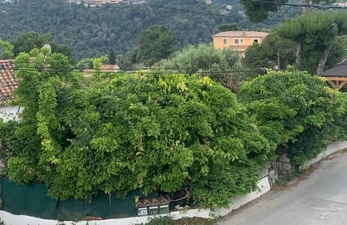 Tourrette-Levens House | The green oasis: breathtaking sea views, swimming pool, privacy in Villa Liliana