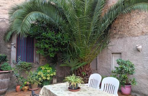 Ferrals-les-Corbieres House | The Green Suite - With garden