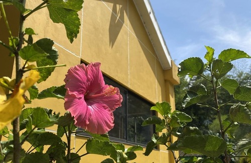 Villeta House | The Green Village