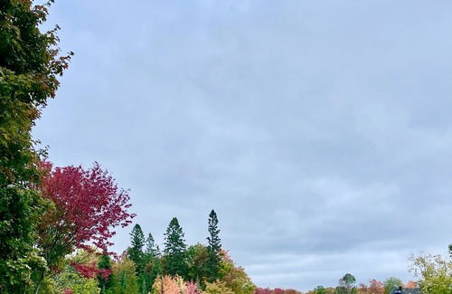 North Bay House | The Greystone Executive Bungalow - Ski Ridges Estate