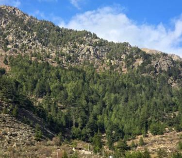 Dharali Resort | The Harshil Chardham Camps