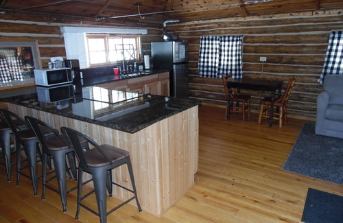 Oscoda Cabin | The Hideout - Cute, Peaceful, and Dog-Friendly Rustic Cabin on Au Sable River