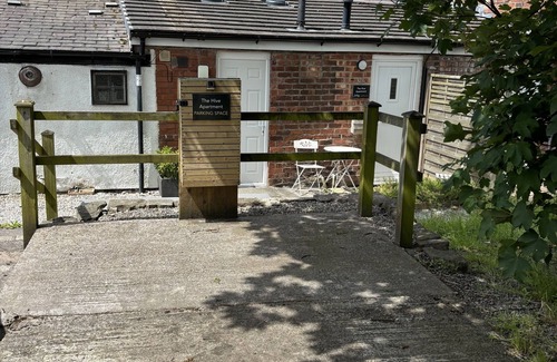 Marple Apartment | The Hive Apartment