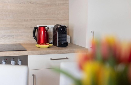 Dienten am Hochkoenig Apartment | The Hochkönig view - apartment/apartment, shower, toilet, 2 bedrooms