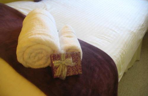 Cambridge Bed & Breakfast | The Holly Tree