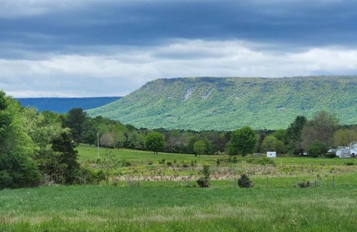 Luray House | The Home Place