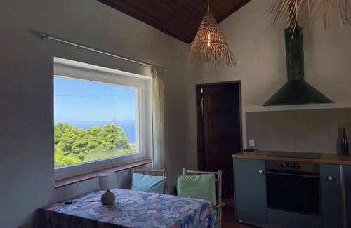 Monserrate House | The House in the Woods - Ocean View